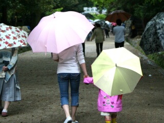 雨の日