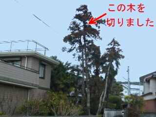 ウッドデッキ0