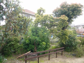 庭が広い3