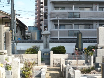 墓地の木伐採4