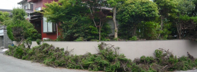 フェンス3