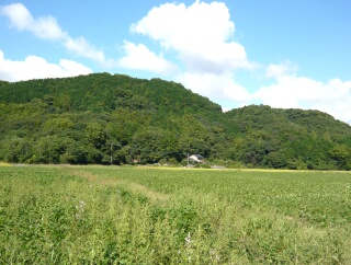 秋です