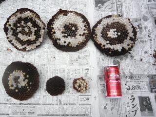 屋根裏1