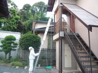 2階軒下のスズメバチ1