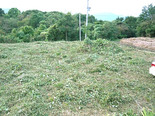 空地の草刈り1