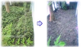 草取りと草刈り