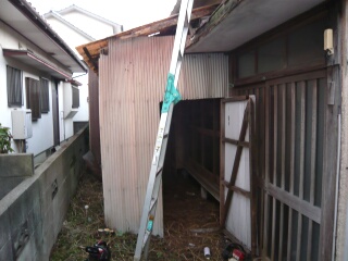 屋根のツタ2